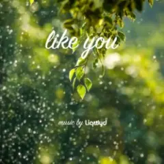 Обложка трека Like You
