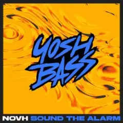 Обложка трека Sound The Alarm