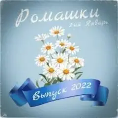Обложка трека Ромашки