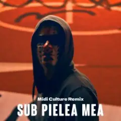 Обложка трека Sub Pielea Mea