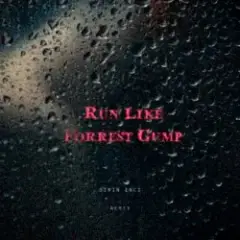 Обложка трека RUN LIKE FORREST GUMP (SIRIN INCI REMIX)