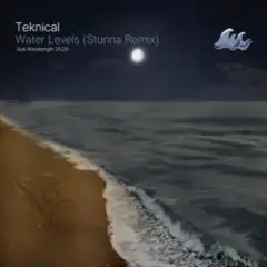 Обложка трека Water Levels (Stunna Remix)