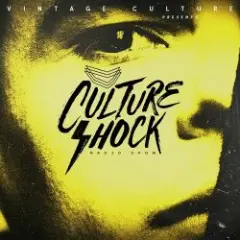 Обложка трека Culture Shock