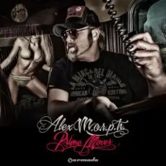 Alex M.O.R.P.H. feat. Natalie Gioia — The Reason