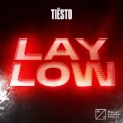 Обложка трека Lay Low