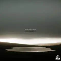 Обложка трека The Healer