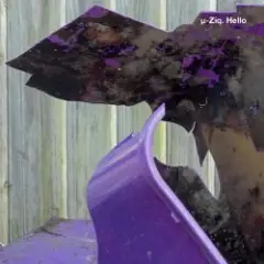 Обложка трека Mushroom Compost