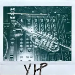 Обложка трека Circles (VIP Mix)