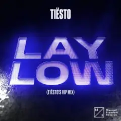 Обложка трека Lay Low (Tiesto VIP Mix)