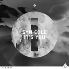 Обложка трека It's You (Original Mix)
