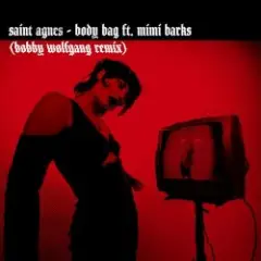 Обложка трека Body Bag (Bobby Wolfgang Remix)