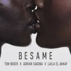 Обложка трека Besame