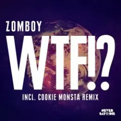 Обложка трека WTF!