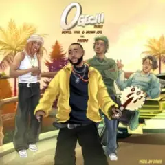 Обложка трека Ogechi (feat. Davido) Remix