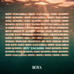 Обложка трека BOY (ZACARIA)