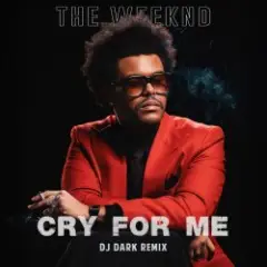 The Weeknd — Cry For Me (Dj Dark Remix)