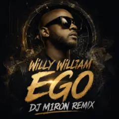 Обложка трека Ego (Dj M1ron Remix)