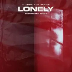 Обложка трека Lonely (Besomorph Remix)