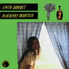 Обложка трека Blueberry Mountain
