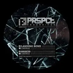 Обложка трека Landing Bone