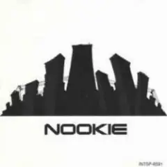 Обложка трека Nookie (Album Version)
