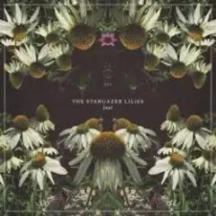 Обложка трека Stargazer