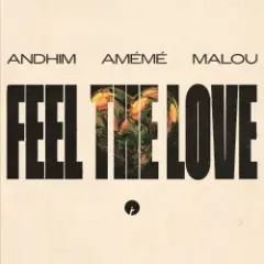 Обложка трека Feel The Love