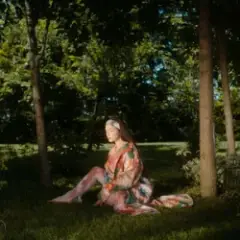 Обложка трека Inimă împiedicată