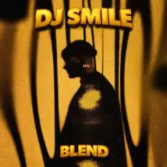 Обложка трека Тону (DJ Smile MLS Blend)