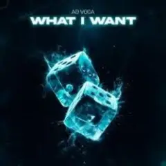 Обложка трека What I Want