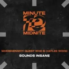 Обложка трека Sounds Insane (Extended Mix)