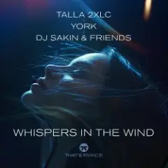 Обложка трека Whispers In The Wind (Extended Mix)