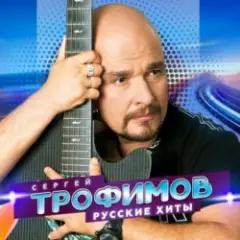 Обложка трека Снегири
