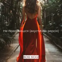 Обложка трека Не повернешся (акустична версія)
