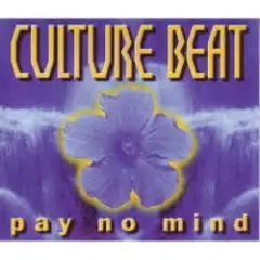 Обложка трека Pay No Mind (Extended Version)