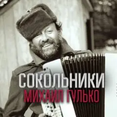 Обложка трека Золотые купола