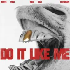 Обложка трека Do It LIke Me (VIP)