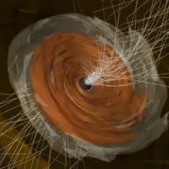 Wellenfeld — Black Hole