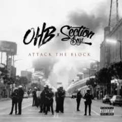 Chris Brown & OHB x Section Boyz — Dolce (feat. Chris Brown & Young Blacc)