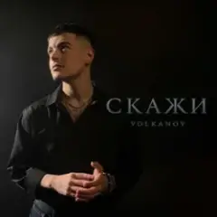 Обложка трека Скажи