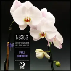 Обложка трека I Will Remember (Original mix)