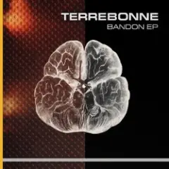 Обложка трека Bandon (Aquasion Remix)