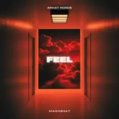 Обложка трека Feel