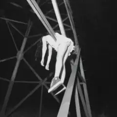 Обложка трека supreme (slowed)