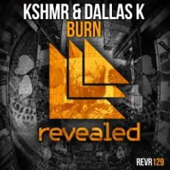 Обложка трека Burn (Original Mix)
