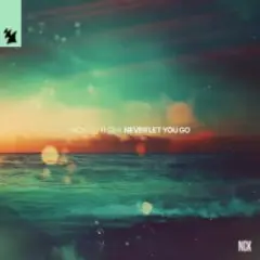 Обложка трека Never Let You Go