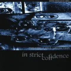Обложка трека Industrial Love (No Disc Mix By The Dust Of Basement)