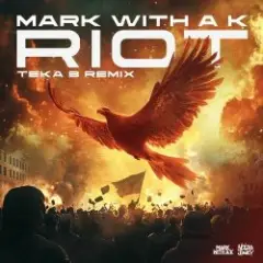 Обложка трека Riot (Teka B Remix)