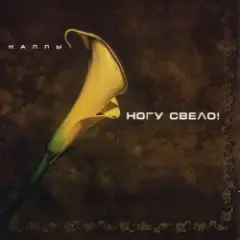 Ногу свело! — Ave Maria