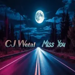 Обложка трека Miss You